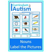 Nouns Label the Pictures Vocabulary Write and Wipe